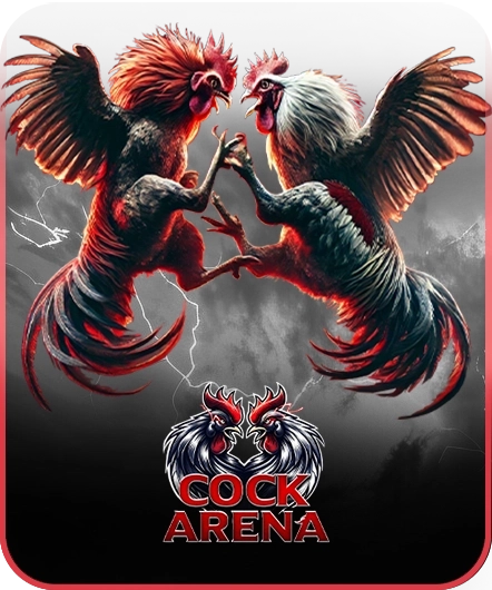 Cock Arena